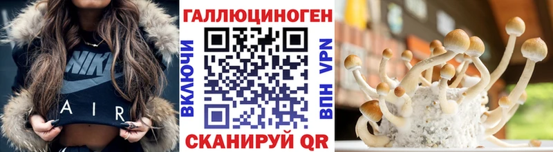 где можно купить наркотик  Сольвычегодск  это телеграм  Галлюциногенные грибы Magic Shrooms 