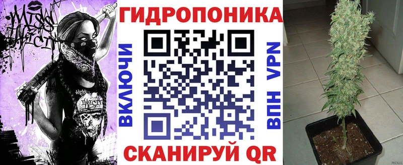 Конопля ГИДРОПОН  где купить наркотик  Сольвычегодск 